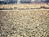 wall and a vast field of stones